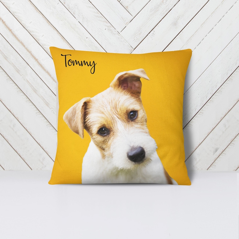 custom-printed pillow with a picture of a pet on a custom-colored background