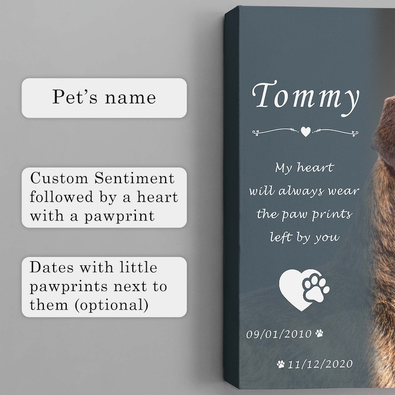 custom name, custom sentiment and dates.