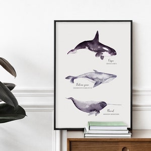 Cartel con ilustración de orca y narval de ballena cetácea pintado en acuarela | A3 | Impreso en papel Rive Tradition de alta calidad. imagen 2