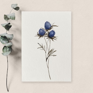 Carte fleur peinte à l'aquarelle / Fleur des champs / Fleur sauvages / Carte anniversaire / Carte remerciements