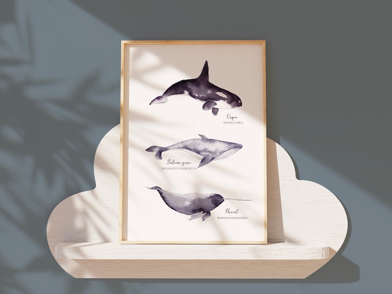 Cartel con ilustración de orca y narval de ballena cetácea pintado en acuarela | A3 | Impreso en papel Rive Tradition de alta calidad. imagen 1