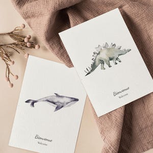 Lot de 2 cartes félicitations naissance, carte bienvenue