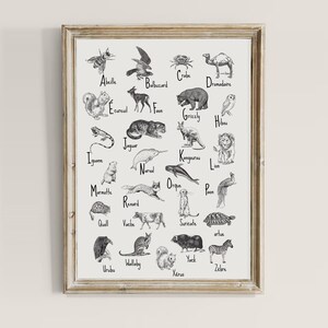 Abécédaire des animaux | Abécédaire décoratif | Affiche enfant abécédaire | Affiche éducative