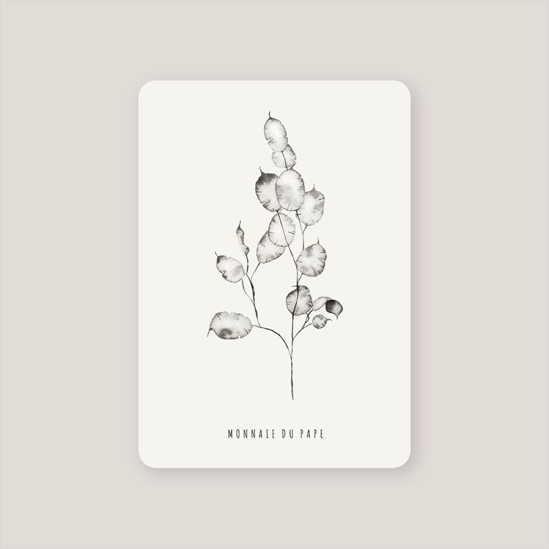 Carte Monnaie du pape peinte à l'aquarelle, carte de remerciements, carte d'annniversaire, carte de voeux, carte botanique angles arrondis
