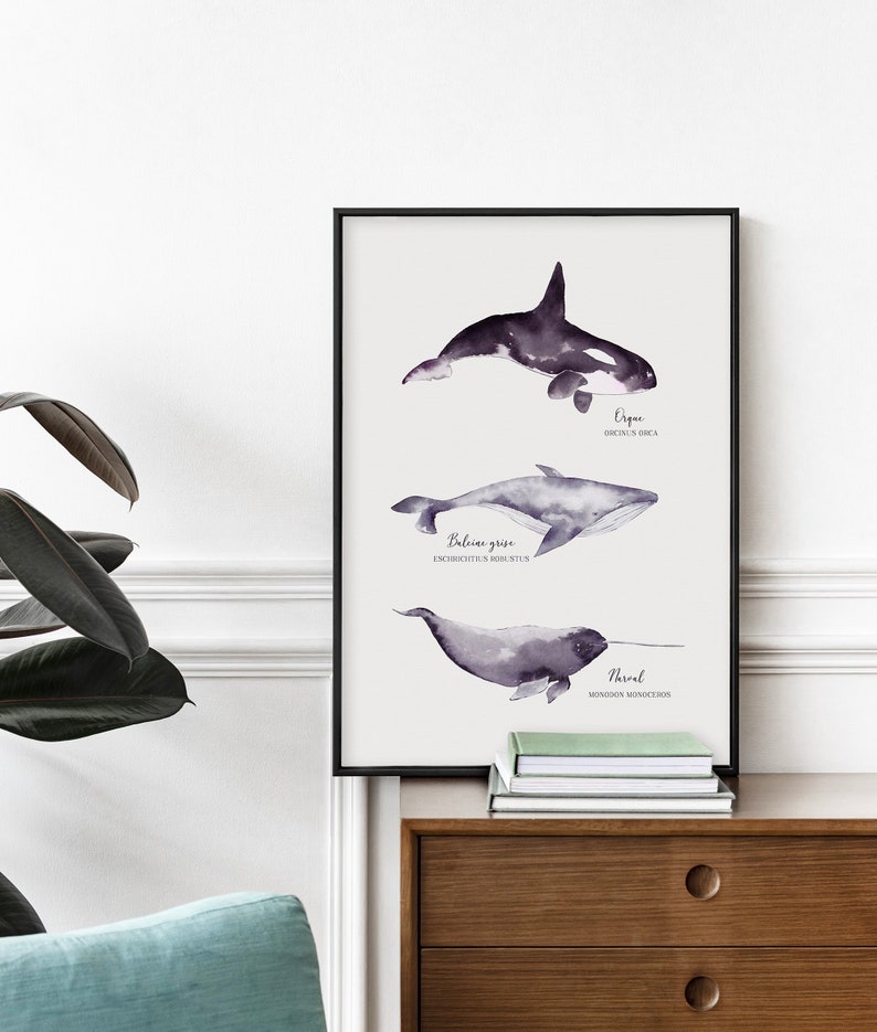 Cartel con ilustración de orca y narval de ballena cetácea pintado en acuarela | A3 | Impreso en papel Rive Tradition de alta calidad. imagen 2