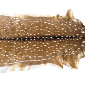 Axis Deer Hide