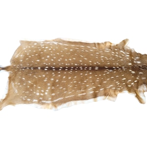 May include: A tanned deer hide with a natural spotted pattern in shades of brown and white. The hide is laid out flat, showcasing its irregular shape and texture. The edges are uneven, and the hide has a soft, natural appearance.