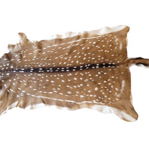 Axis Deer Hide, sustainable, ethical, genuine, USA, meaningful gift, home decor