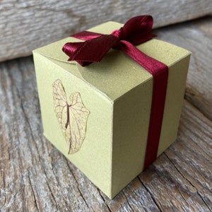 CALYSTEGIA SEPIUM, piccola scatola regalo botanica, cofanetto naturale, carta ecologica, fiori biologici pressati,  pezzo unico #Box25