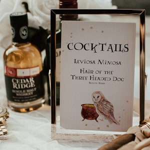 Modelo de placa de coquetel com tema mágico, menu de bar de casamento mágico, placa de bebida exclusiva, pôster de bebida de bar, menu de bebidas editáveis, Corjl Hermione