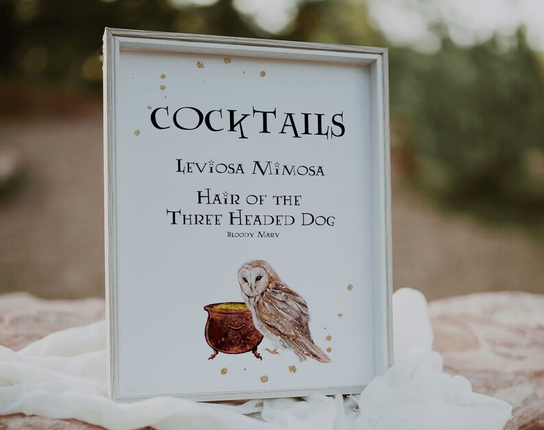 May include: A white framed sign with the text "Cocktails" in black lettering. The sign lists three cocktails: "Levioisa Mimosa", "Hair of the Three Headed Dog (Bloody Mary)", and a drawing of an owl perched on a cauldron.