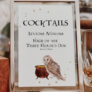 May include: A white sign with gold glitter accents in a silver frame lists cocktails with Harry Potter themed names: "LevioSA Mimosa", "Hair of the Three Headed Dog (Bloody Mary)". An illustration of an owl and a cauldron is below the text.
