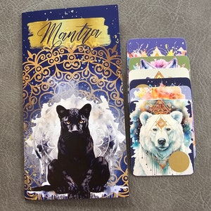 Raccoglitore pieghevole Mantra Challenge A6