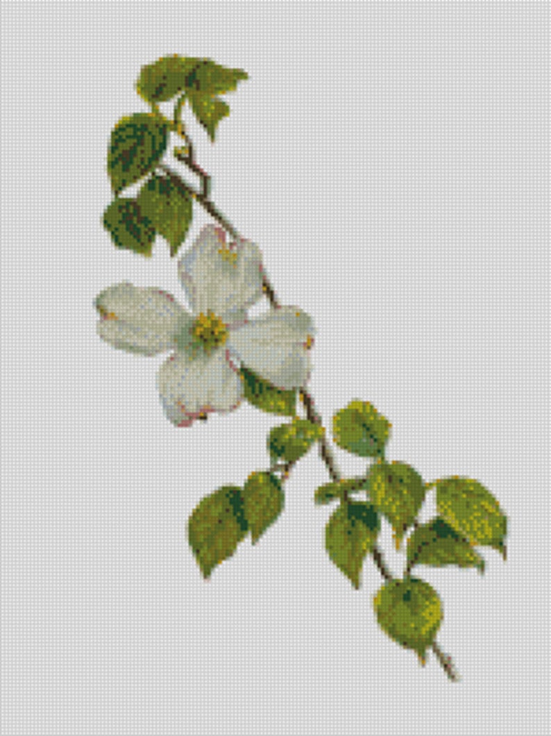 Cross stitch chart pattern Virginia American Dogwood USA Etsy