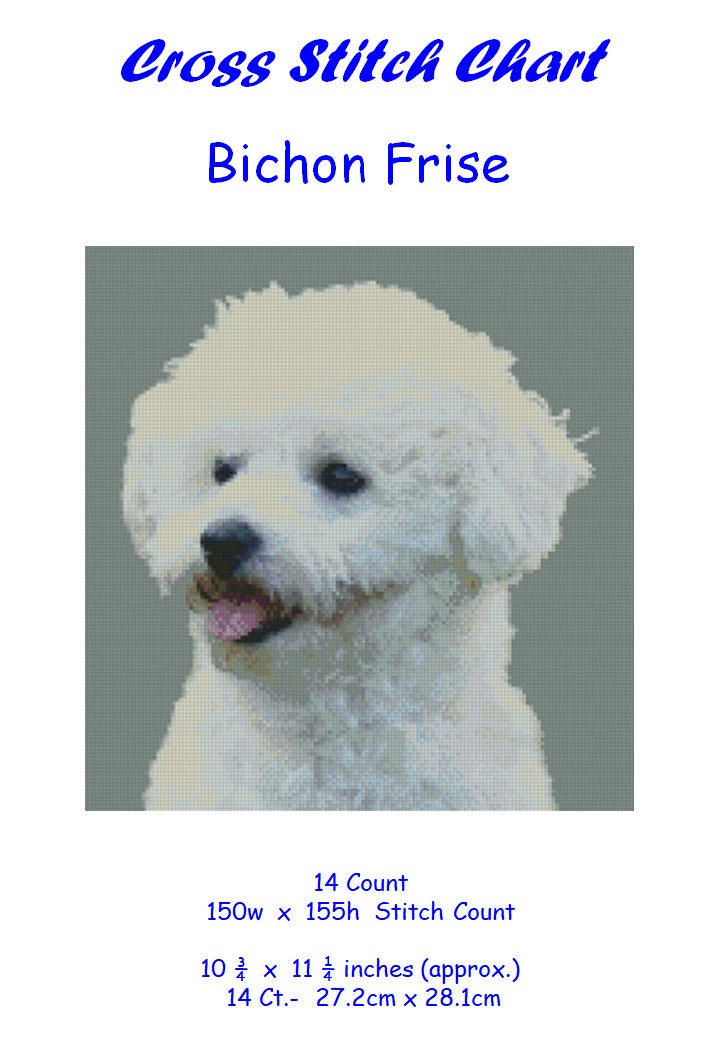 bichon kennel