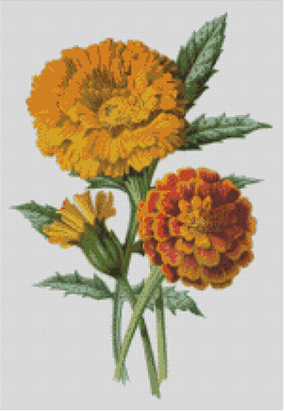 Cross stitch chart pattern. Marigolds Bloom Garden Flower | Etsy