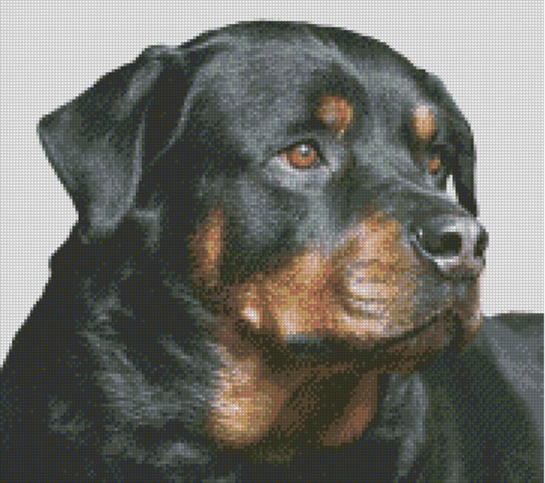 Cross stitch chart pattern Rottweiler Dog Kennel Club KC Etsy