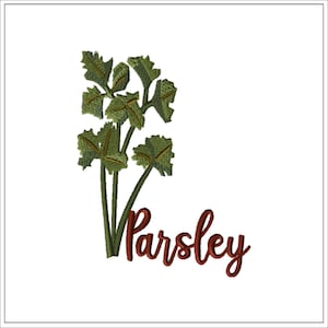 Parsley Herb design #1037-Machine Embroidery Design