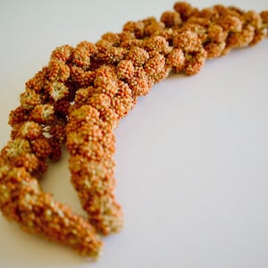 Red Millet Sprays - Small Animal Forage