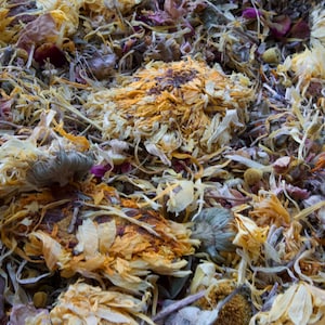 Rosy Dreams Mix - Small Animal Forage