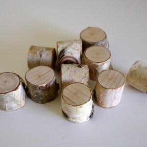 Birch Bites - Small Animal Toys