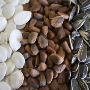 Puede incluir: Primer plano de una variedad de semillas. Semillas de calabaza blancas, piñones marrones y semillas de girasol a rayas blancas y negras están dispuestas una al lado de la otra. Las semillas son una fuente natural de alimento.