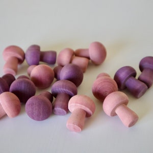 Fruity Mushroom Chews - Small Animal Toys