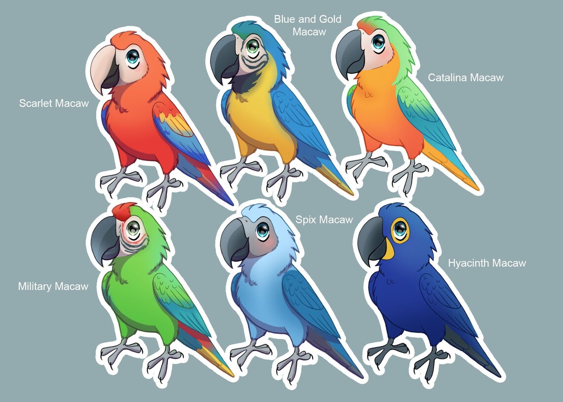 Chibi macaws parrots pet bird Sticker Set for laptop | Etsy