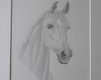 Unique Portrait of YOUR Horse, handcrafted, original art, handmade, mounted drawing, with passe partout
