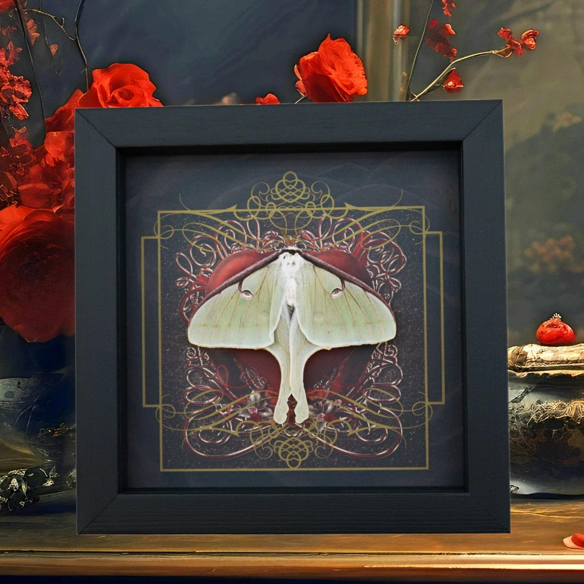 Real Framed Luna Moth Gothic Red Heart Actias Luna Resting Taxidermy ...