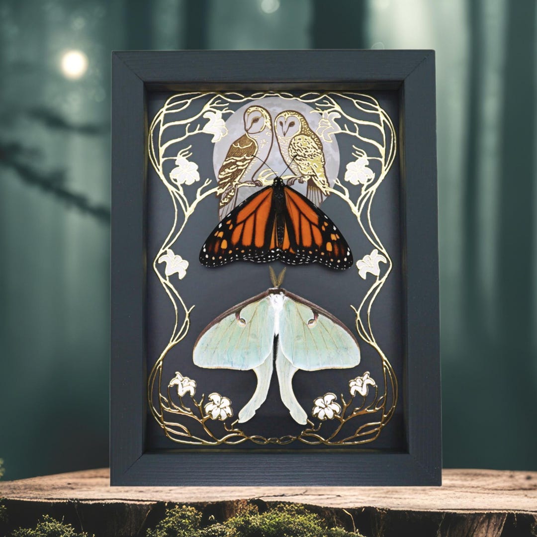 Luna Moth Monarch Butterfly Collection Gold Foil Owls Moon Art Nouveau ...