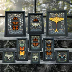 a collection of framed butterfly illustrations, each with a unique design and color scheme. The butterflies are arranged in a grid-like pattern, creating a visually striking display.