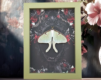 Luna Moth Wall Art - Gothic Black Roses with Sage Green Frame
