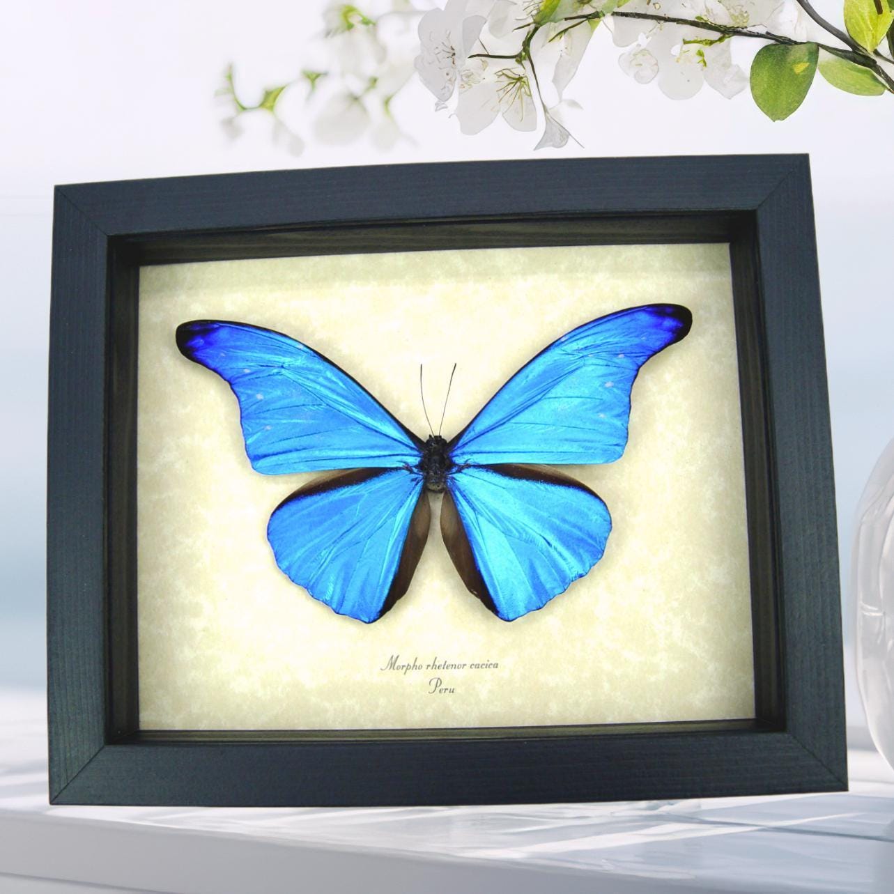 il_fullxfull.7676791284_43kz.jpg