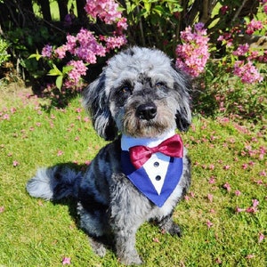 Navy pet tuxedo for wedding, ring bearer, baby shower, baby reveal, engagement, hen do | Slide-on-collar bandana with satin bow for all pets