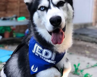 Star Wars inspired handmade bandana | Jedi in training | Sith in training | Best Dog in the galaxy | made for all pets XS S M L XL