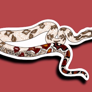 Boa Sticker! HOLOGRAPHIC WATERPROOF