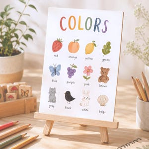 Puede incluir: Un póster educativo blanco titulado COLORS en letras multicolores, con doce ilustraciones en acuarela de objetos etiquetados con sus colores: fresa roja, melocotón naranja, limón amarillo, hoja verde, mariposa azul, uvas moradas, flor rosa, oso marrón, gato gris, pájaro negro, conejo blanco y concha beige.