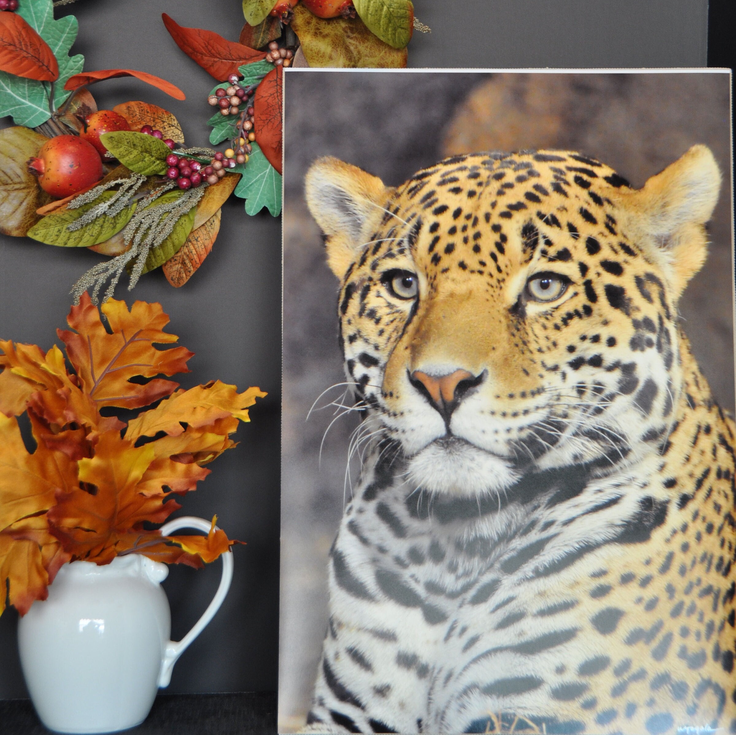 Jaguar Photography Jaguar Wall Art Jaguar Photos Animal Etsy