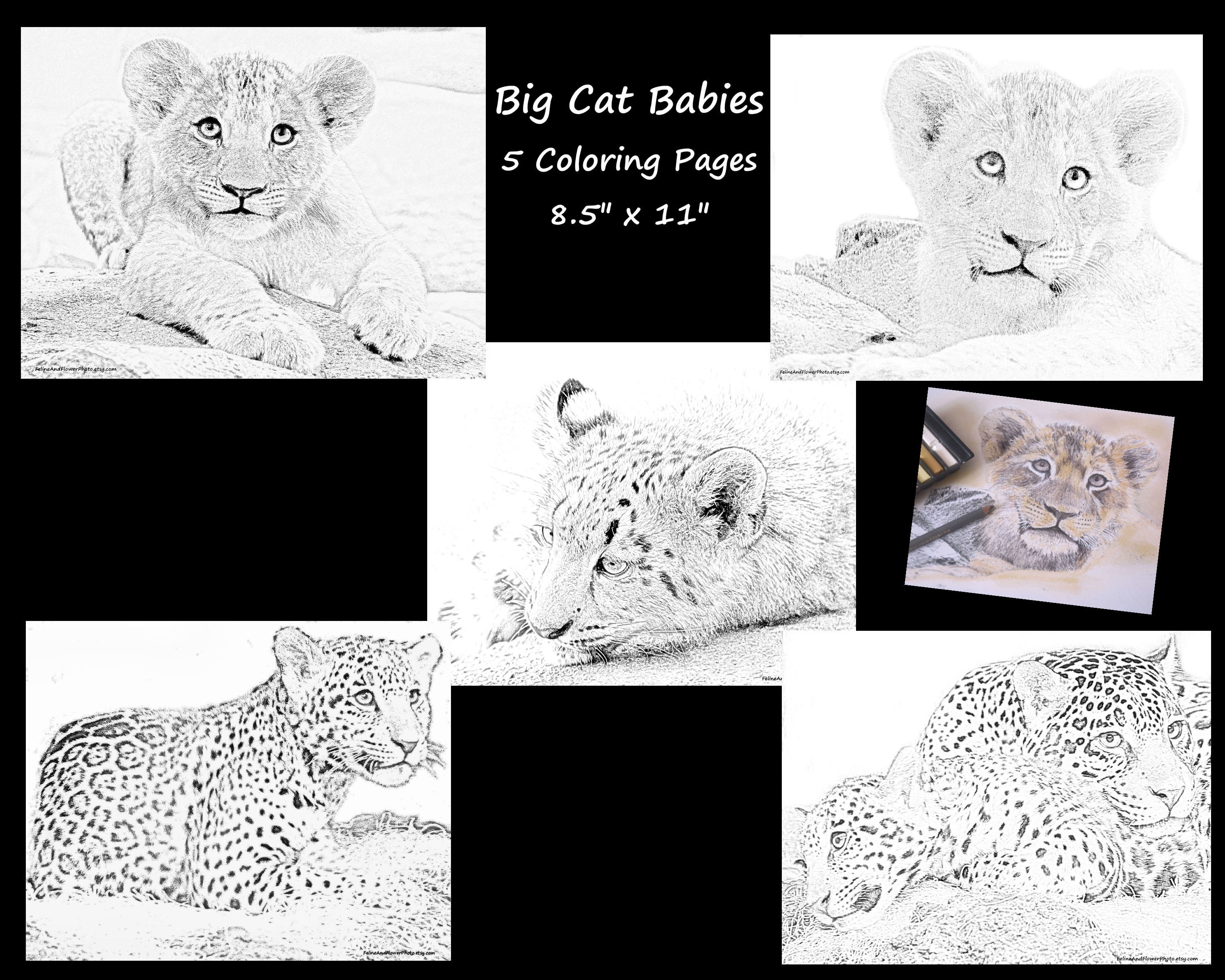 Big The Cat Coloring Pages - Il Fullxfull.3974082280 3b73 