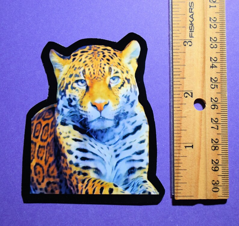 5 Big Cat Glossy Vinyl Stickers, Water-resistant, Great Adhesion, Tear