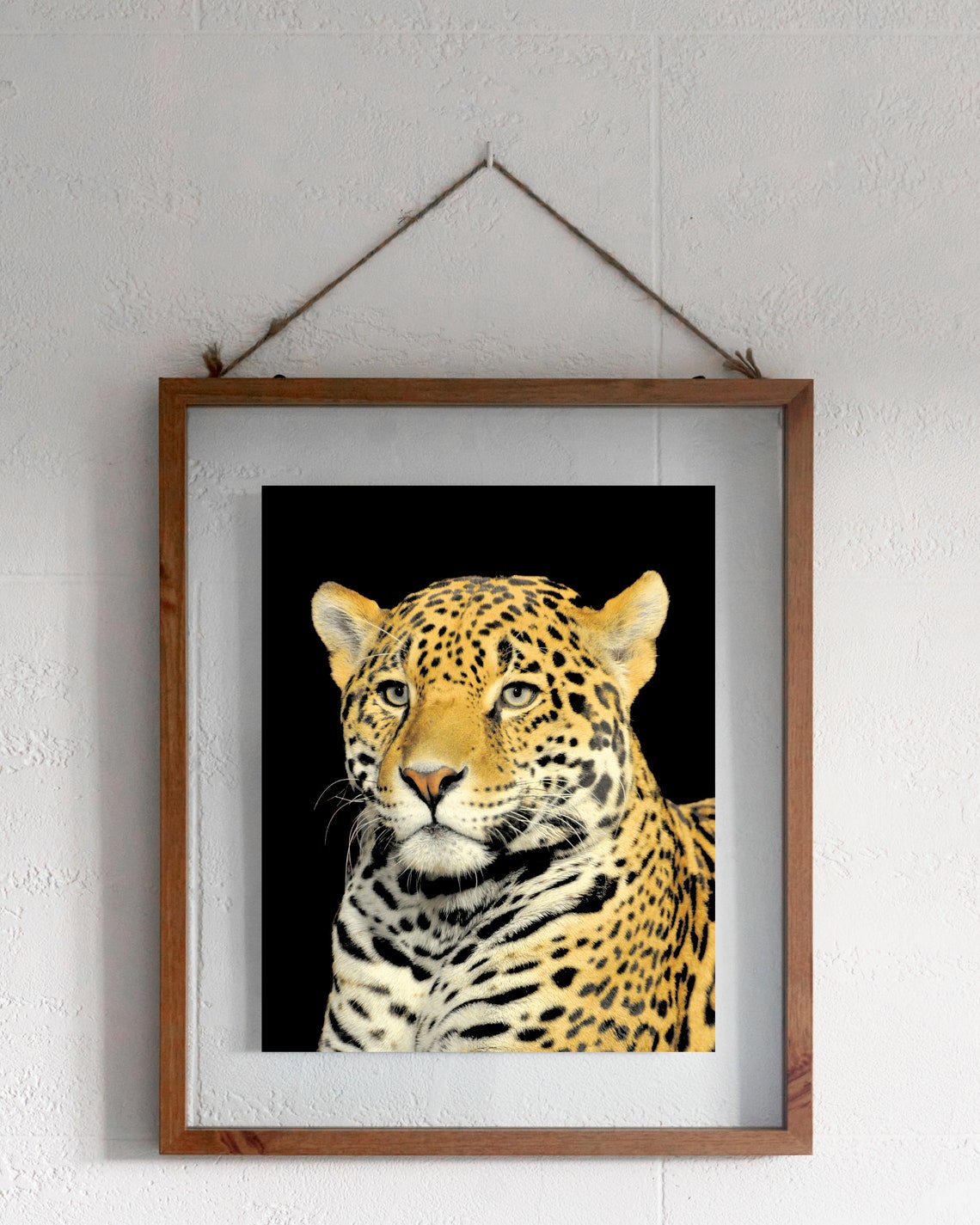 Jaguar Photography, Jaguar Wall Art, Jaguar Photos, Animal Photos, Big