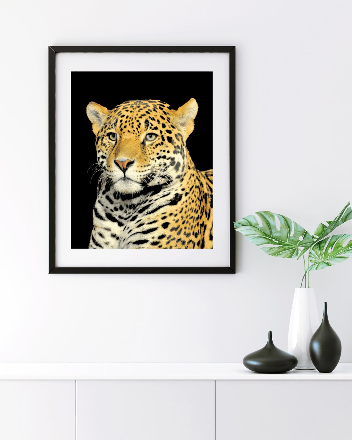 Jaguar Photography Jaguar Wall Art Jaguar Photos Animal Etsy