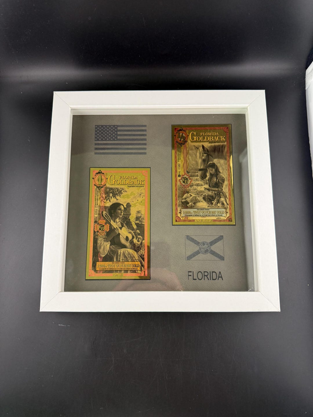 Florida Goldback Framed Display 8x8 Laser Engraved PU Leather Real Gold ...