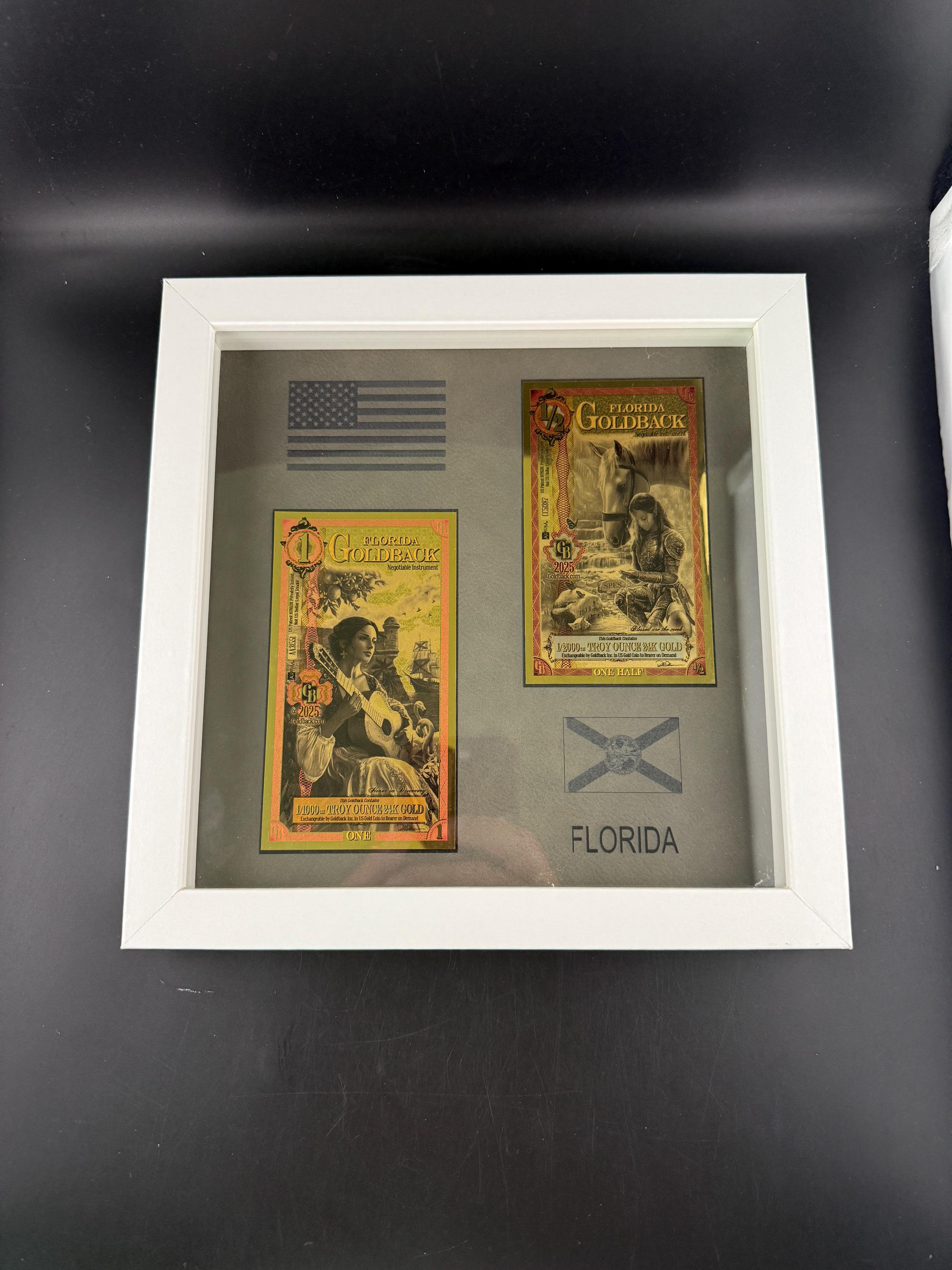 Florida Goldback Framed Display: 8x8 Laser Engraved PU Leather with 24K Gold Notes