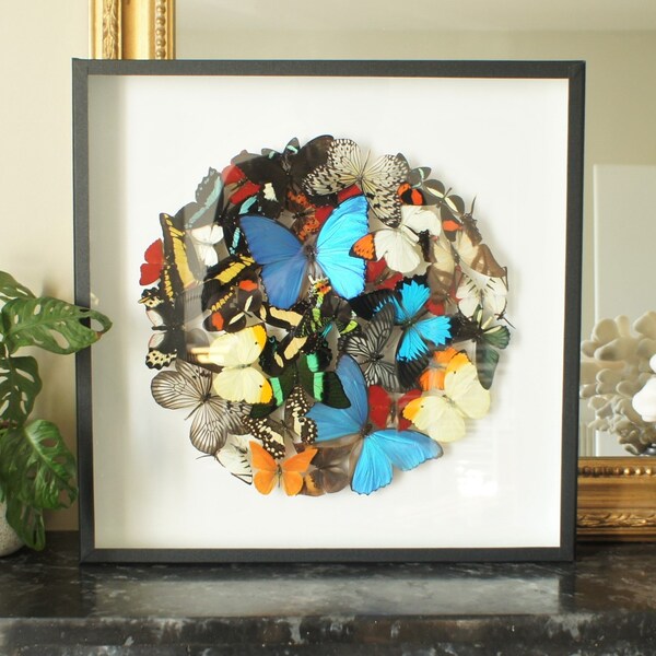 Stuffed Butterfly Etsy