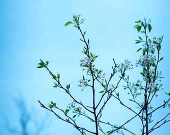The Cycle Of Life 1