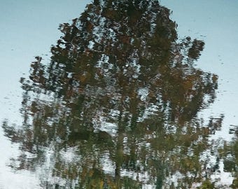 Tree Reflection Print: Watercolor Effect Photography