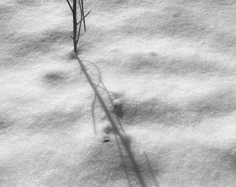 Winter 2
