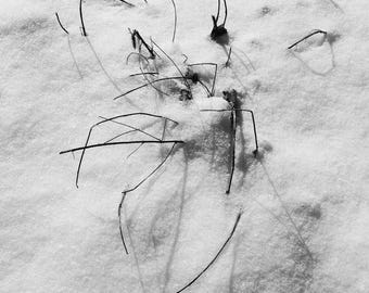 Winter 1